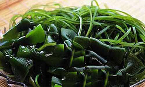 食用藻类有哪些？海带，紫菜和发菜