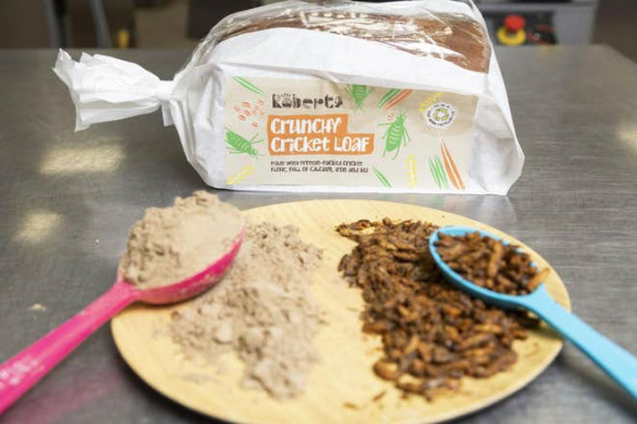 面包店推出英国第一款由数百只蟋蟀制成的昆虫