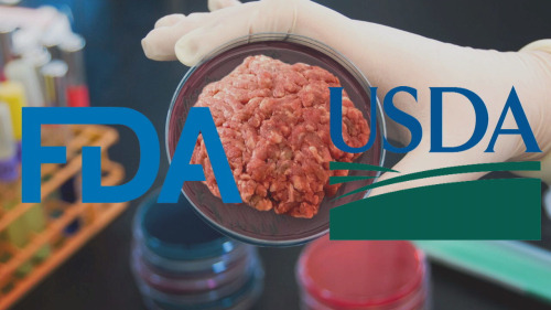 美国农业部和美国食药监局宣布监管畜禽细胞系