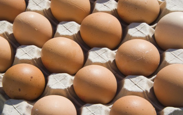 英国1年扔掉7.2亿鸡蛋：只因过了赏味期