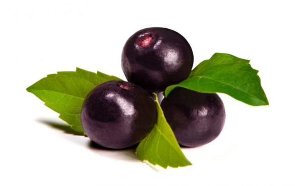 阿萨伊浆果的5个令人吃惊的健康功效与作用