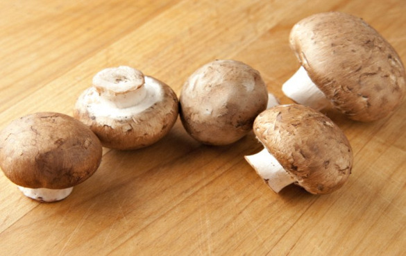 双孢蘑菇的功效与作用