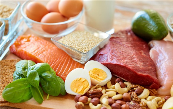 蛋白质在体内的9个重要功能